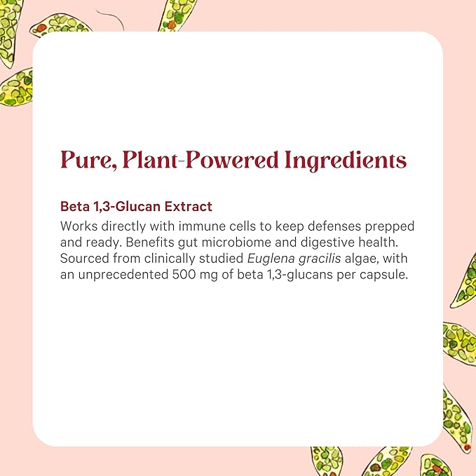PURE SYNERGY SuperPure Beta 13-Glucan Extract | 500 mg Beta 13-Glucan Supplement from Algae | Yeast-Free Non-GMO Standardized Extract | Supports Immune Health &amp Digestion (60 Capsules)