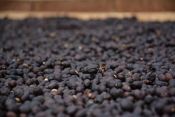 1 lb Andina Colombian Premium Medium Roast - Auto-drip Ground Coffee (1 LB)