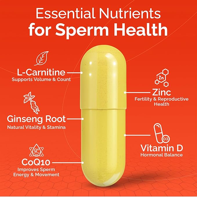 CONCEIVE PLUS Motility Support for Men | Boost Sperm Volume &amp Count | Spermidine Supplements with Vitamin D E Zinc Antioxidants – Multivitamin Fertility Supplements for Men 60 Caps