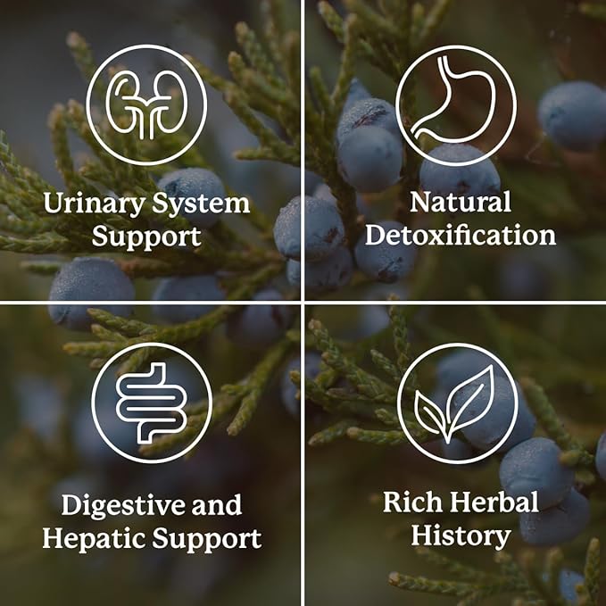 Nature's Sunshine Kidney Activator Capsules 100 Capsules | Natural Kidney Supplement Contains Herbs to Support and Enhance Kidney Function and Urine Flow