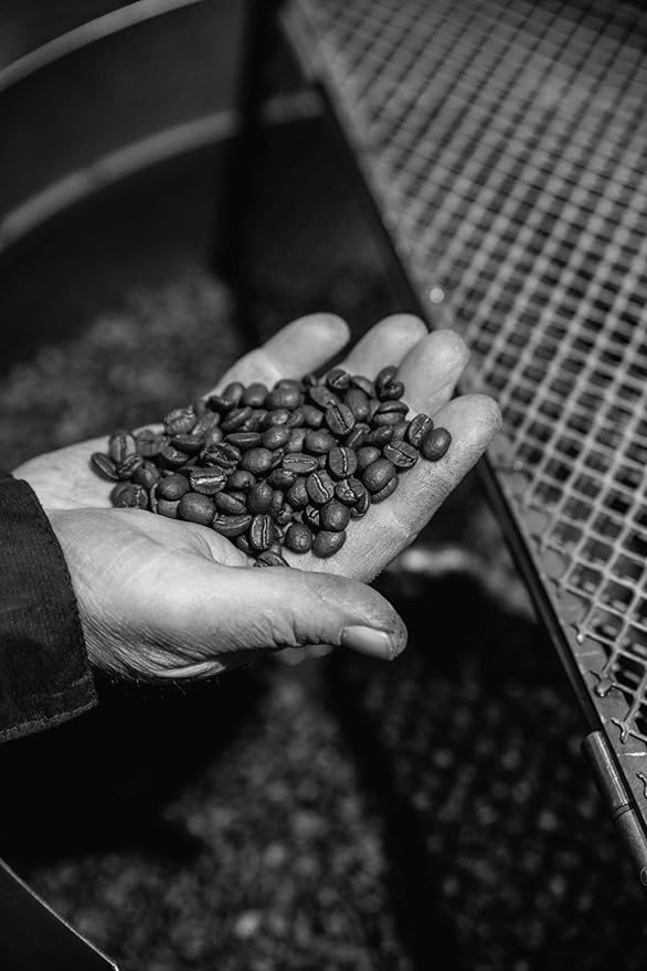 Bristot Italian Espresso Ground 250g Each: Cremoso Italiano + Moka Oro + 100% Arabica Medium Roast