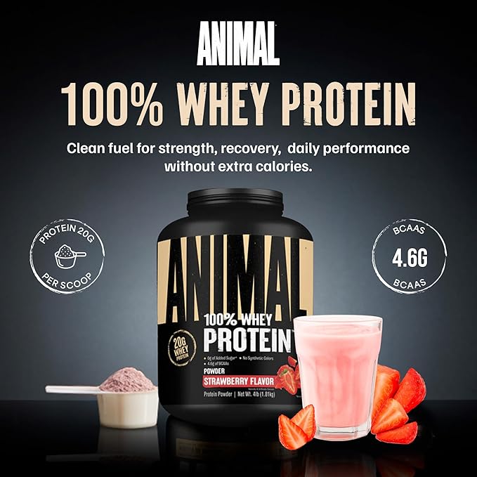 Animal 100% Whey Protein Powder – Whey Blend for Pre or Post Workout Recovery Anytime Low Sugar Protein Boost Meal Replacement with BCAA Branched Chain Amino Acids – New Flavor Strawberry 4 lb