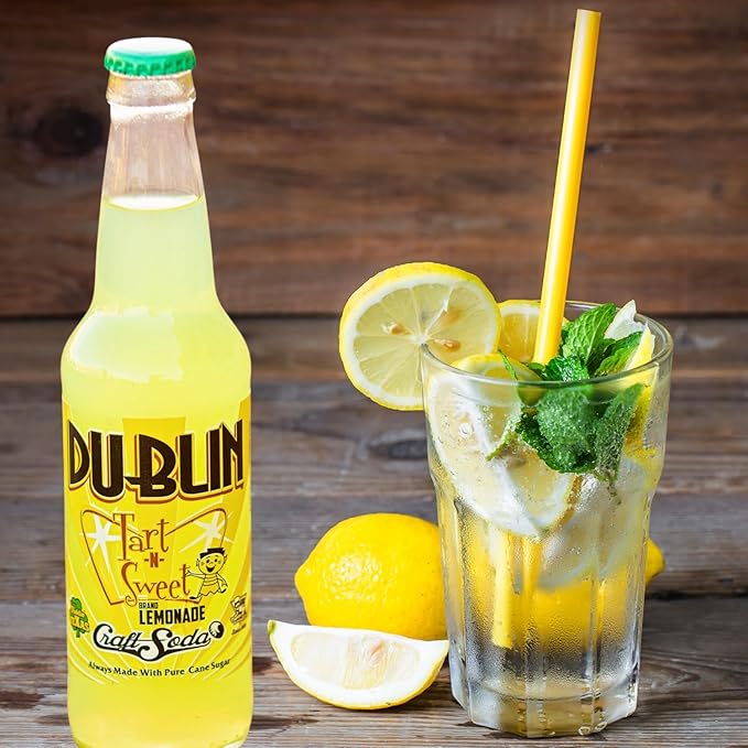 Dublin Bottling Works Craft Soda Pure Cane Sugar Made in Texas – Assorted 12-Pack – Premium Small-Batch Soda Gluten-Free Retro Artisanal Beverages (12 Pack Variety Case #1)