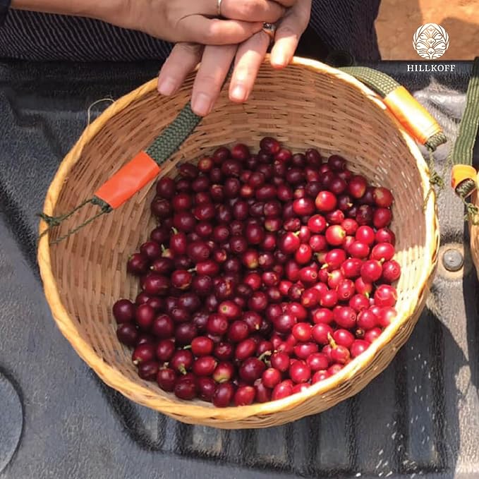 Doi Sam Muen Coffee Culturally Diverse Village Huai Nam Dang National Park