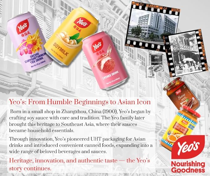 Yeo’s Lychee Drink 10.1 fl oz – Sweet Tropical Lychee Fruit Beverage Ready to Drink Serve Chilled or Over Ice (Pack of 24 Cans)