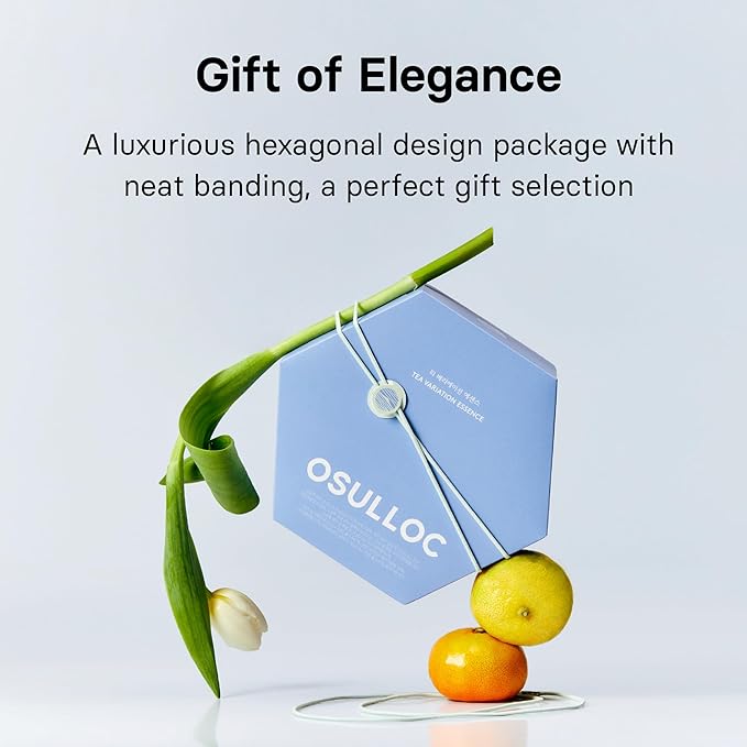 OSULLOC TEA VARIATION ESSENCE (42 Count 6 Types x 7 ea) Assorted Tea bag Sampler Exceptional Designed Variety Tea gift Set Premium Tea sets from Jeju Island tea farm