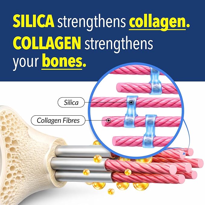 LABO Nutrition Bioactive Silica – Hair Skin Nails Collagen Formation Joint &amp Bone Strength – Support Bone Health &amp Collagen Booster– 99% Purity Rice-Derived Silica Supplement 30 Vegan Sof