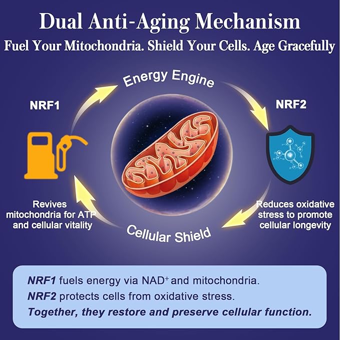 NRF1 &amp NRF2 Supplement 1500mg | Dual Activator with CoQ10 Curcumin Trans Resveratrol &amp Ashwagandha | Antioxidant for Oxidative Stress Wellness Aging &amp Cellular Energy | 60 Capsules (1 B