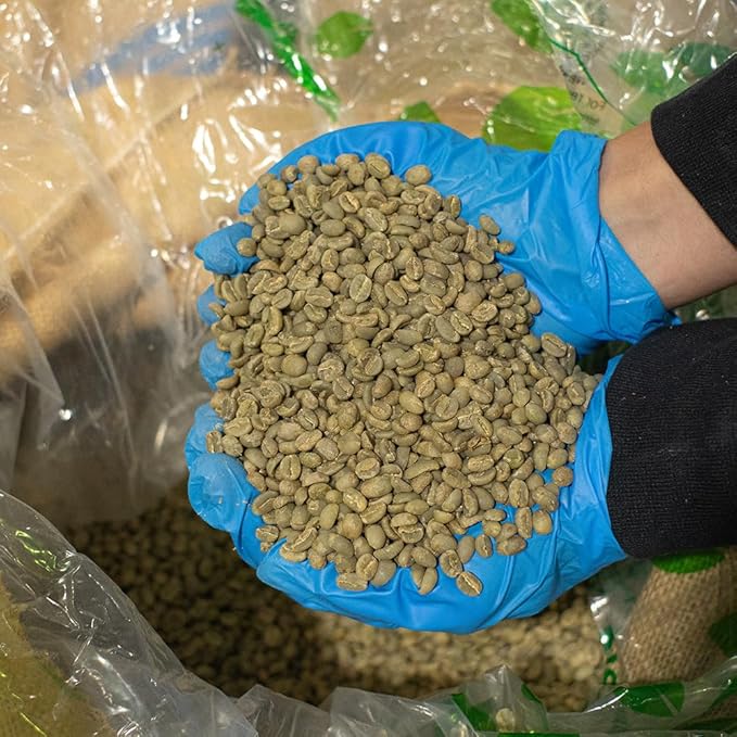 Fresh Roasted Coffee Unroasted Organic Mexican | USDA Organic 100% Single Origin Kosher | 5 Pound