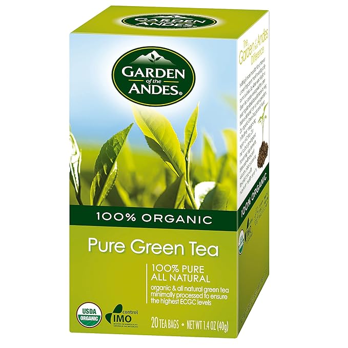 Organic Green Tea 20 Bags 3 Per Case