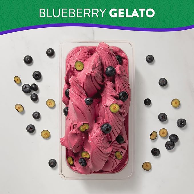 PACIFIC FRUIT – Blueberry puree - Blueberry juice 100 percent – Real fruit juice – Ideal for blueberry drink 100% JUST FRUIT
