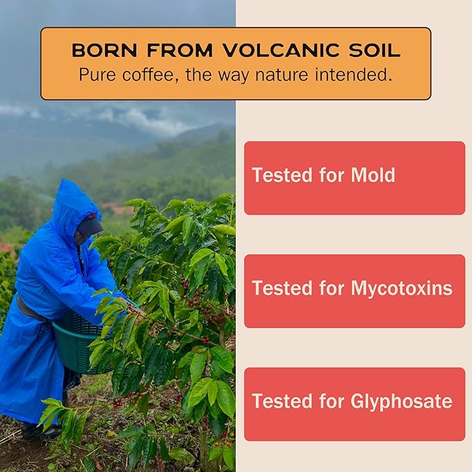 Terra Lava Coffee – Medium Roast Whole Bean Coffee Single-Origin Costa Rican Arabica Volcanic Soil Grown Honey-Processed Tested for Mold &amp Mycotoxins (12 oz)