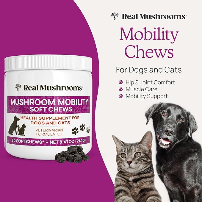 Real Mushrooms Mobility Chews for Dogs &amp Cats – Green Lipped Mussel &amp ErgoGold Mushroom Blend – Dogs &amp Cat Vitamins Treats for Active Routines – Joint Hip &amp Flexibility Support – 240