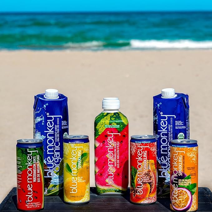 Blue Monkey Sparkling Lychee Juice - Real Fruit Juice No Sugar Added All Natural Lightly Carbonated Halal Certified - Refreshing Tropical Sparkling Water Alternative - 11.2oz (330ml) 12 Pack (11.2
