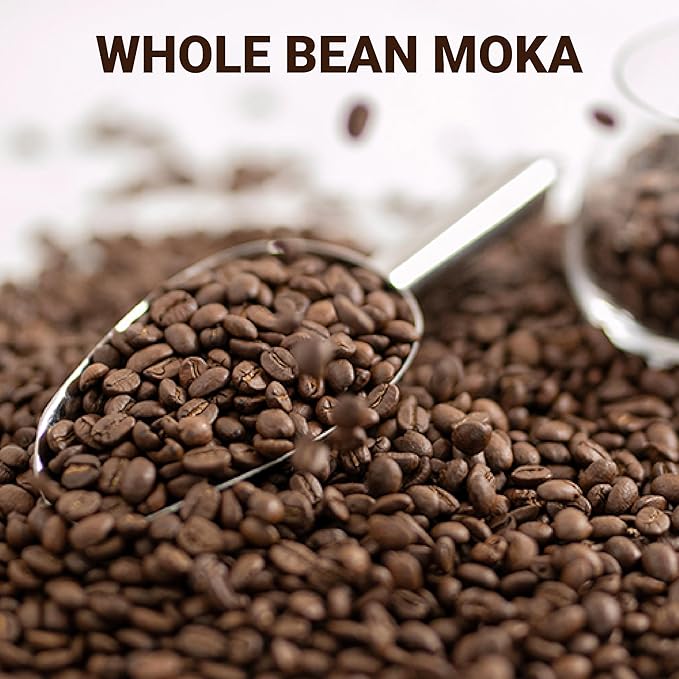 doanhdang - 17.6 Oz Premium Moka Whole Bean Coffee 100% Medium Roast Rich Flavor for Espresso Shot and Brew Origin from Vietnam Whole Med Roast Beans