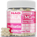 SHIZAM TMG Betaine Alpha Lipoic Acid ALA D3 Fisetin Gummies Tri-Methylglycine trimethylglycine R-Alpha NAD+ Plus + HCL Supplements Mitochondrial Senolytic Activator NR Capsules Powder 600mg 1000mg