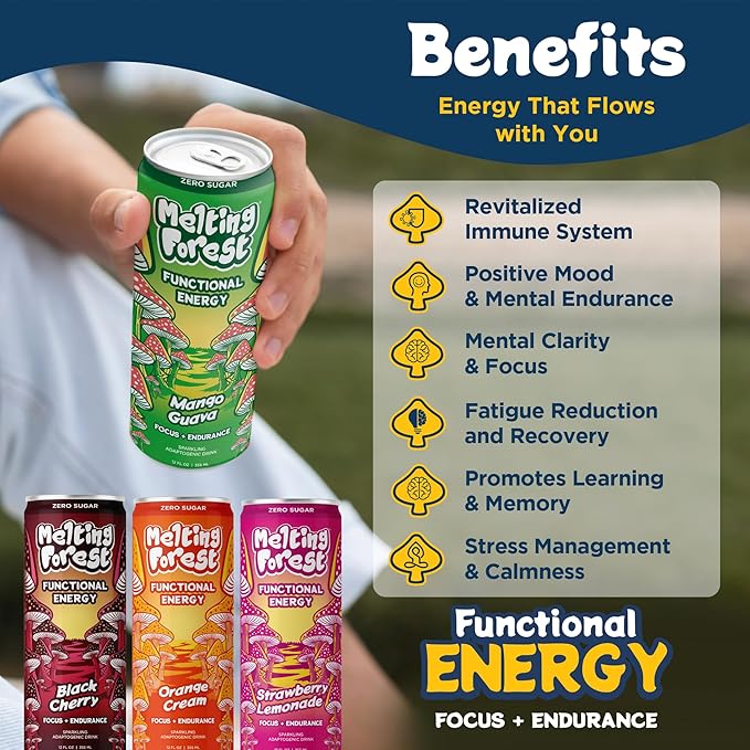 Melting Forest Mushroom Energy Drink 150mg of Caffeine L-Theanine Cordyceps &amp Lion's Mane Energy &amp Focus Cognitive Function &amp Mental Clarity Variety Pack (12 Pack)