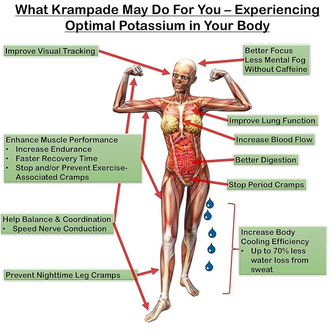 Krampade Original 2K - 2000 mg Potassium Electrolyte Powder Drink Mix | Cramp Relief - Hydration - Increased Performance | Orange - 20 Single Serving Packets