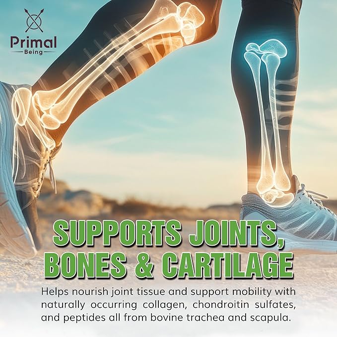 Primal Being Grassfed Beef Cartilage Collagen (Type I-V &amp XI)- Supports Hair Skin Nails Joint Health Immunity Digestion Post Exercise Recovery - 120 Capsules 3000 mg per Serving