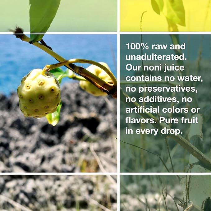 Frutos Pachamama Organic Noni Juice 100% Pure – Raw Ozonated Noni Extract from Dominican Republic | Natural Superfood Drink | Immune Booster &amp Anti-Inflammatory Support 4 Bottles 16Oz