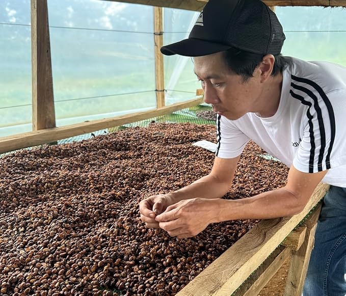 Excelsa Coffee – Vietnam Green Coffee Beans Unroasted 5 lbs | Rare Species Home Roasting Bright Fruity Flavor Low Caffeine