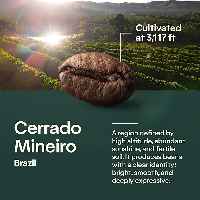 4-Pack Specialty Whole Bean Coffee Mindfully – Arabica Roasted in Brazil – Smooth Centering Flavor with Notes of Chocolate Caramel Vanilla and Nuts – Carefully Harvested – Brazilian Coffee King
