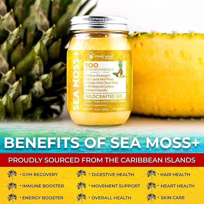 WELLNESS LABSRX Irish Sea Moss Gel Raw - Wildcrafted Superfood Seamoss Gel - Pineapple Flavor Vitamin and Mineral-Rich from Pristine Caribbean Waters Immune and Digestive Health Support - 10 oz.