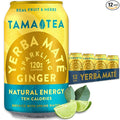 Organic Sparkling Ginger Yerba Mate Tea Unsweetened by Tama Tea - Sugar Free Energy Drink Alternative 120mg Natural Caffeine 12 oz (12-Pack)