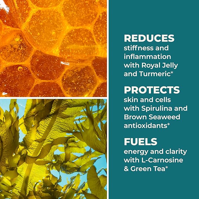 LifeSeasons Stem Boost-R - Stem Cell Support - Naturally Repair Damaged Tissue - Vitamin Supplement Rich in Antioxidants - Royal Jelly Spirulina Blueberry Brown Seaweed &amp L-Carnosine - 120 Caps