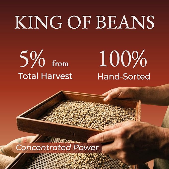 Cafely BanMe - Rare Peaberry Robusta Whole Bean Vietnamese Coffee – Dark Roast High Caffeine (Rich &amp Intense) Thick Crema Low Acid Single Origin Direct Trade For Espresso Phin French Press