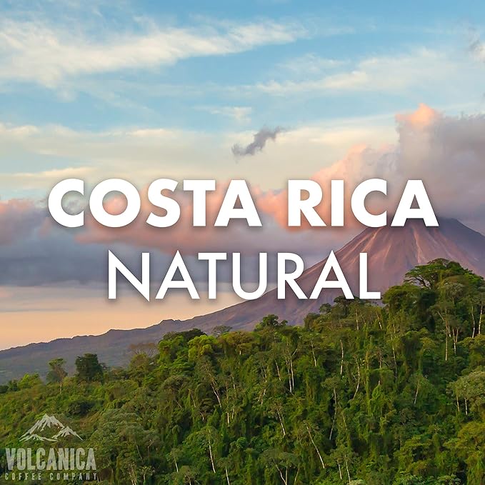 Costa Rica Coffee Natural Process Whole Bean Fresh Roasted 16-ounce