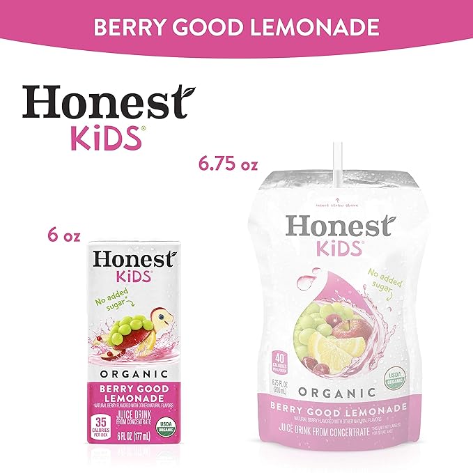Honest Kids Berry Good Lemonade Organic Juice Drink Berry Lemonade 6 Fl Oz (Pack of 40)