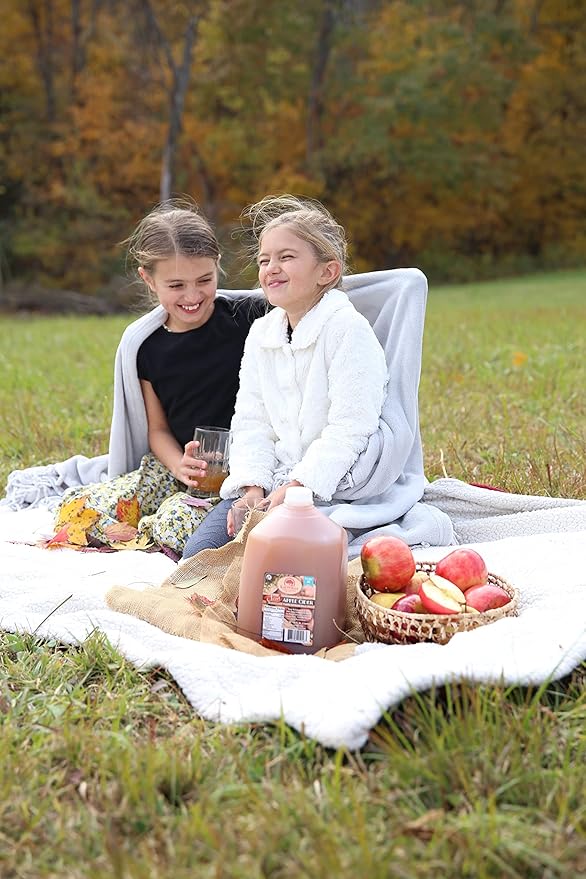 Kauffman's Fruit Farm Orchards Homemade Fresh-Pressed Apple Cider Frozen for Shipping 0.9 Gallon (Pack of 4)