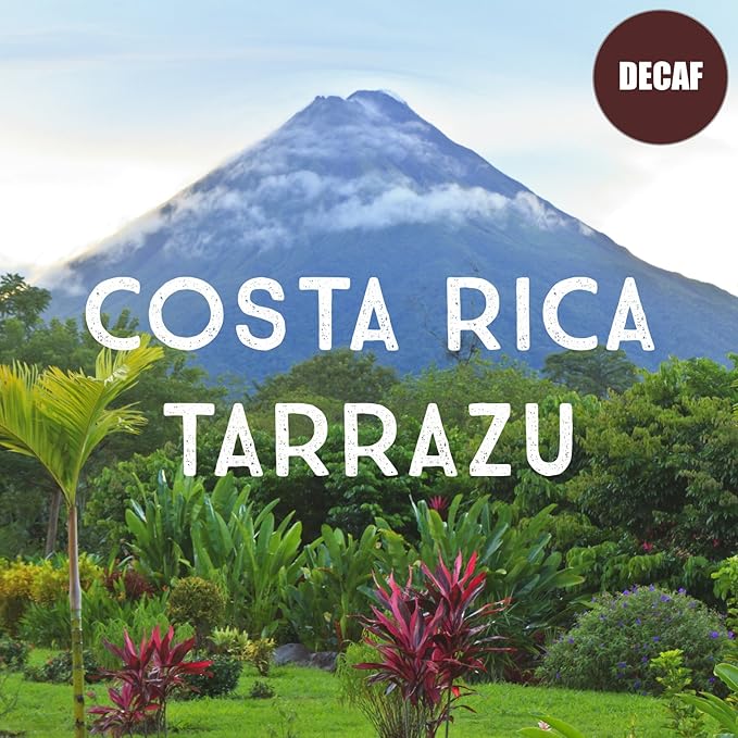 Costa Rican Decaf Tarrazu Coffee Ground Swiss Water Processed Rainforest Certified Fresh Roasted 16-ounce