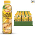 OKF Aloe Vera Juice Drink Lemon Ginger Pure with Chunks of Aloe Original 16.9 Fl Oz (Pack of 20) No Preservatives No Artificial Color Plant Based Korean Drinks