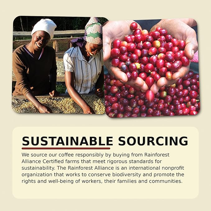 Verena Street 5 Pound Flavored Whole Bean Coffee Hazelnut Medium Roast Rainforest Alliance Certified Arabica Coffee