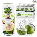 Coconut Water Bulk 99% Pure 16.57 Fl Oz - Pack of 12 Nutrient-Rich and Fresh | Low Sugar &amp Calories | Pure Coconut Water with Electrolytes by Creata