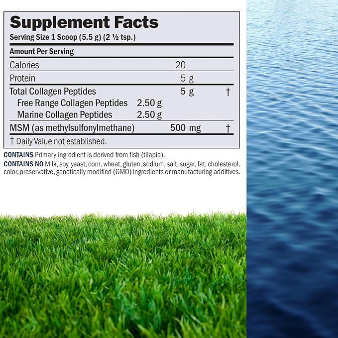ANDREW LESSMAN Marine Free Range Collagen Peptides Powder and MSM 30 Servings - Supports Radiant Smooth Soft Skin Comfortable Joints. Super Soluble No Fishy Flavor No Additives Non-GMO