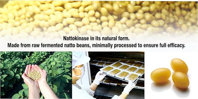 PHARMAKON Natural Nattokinase Fermented Soybean Extract 6000 FUs per Serving