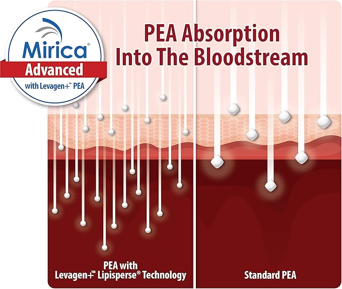 Mirica Advanced - High Absorption Formula Palmitoylethanolamide (Pea) Luteolin and Polydatin Nervous System Support Capsule 60ct