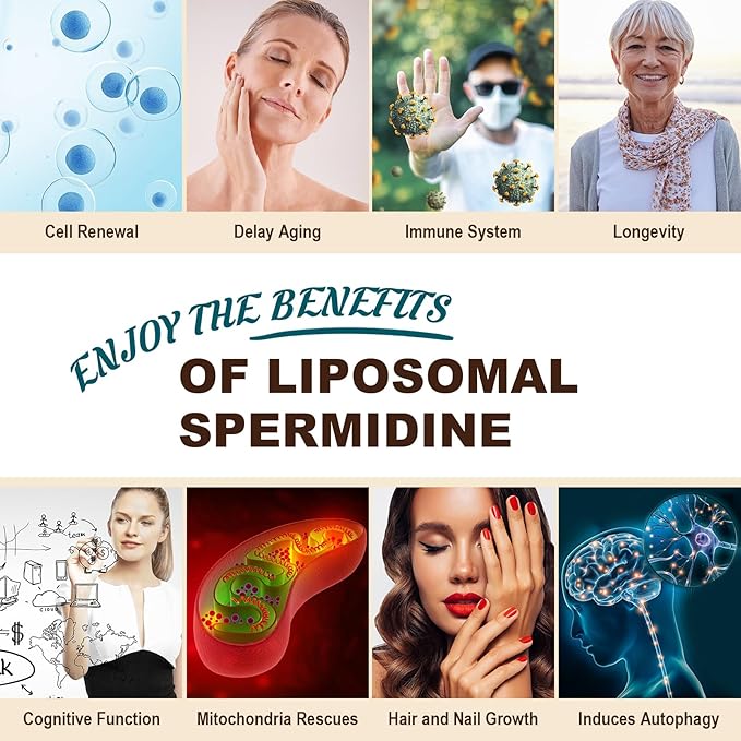 Spermidine Supplement 15 MG - 99% Purity High Absorption 1500 MG Fermented Wheat Germ Extract with Zinc &amp Thiamin Spermidine for Men &amp Women - Cellular Renewal Aging Defense Energy 60 So