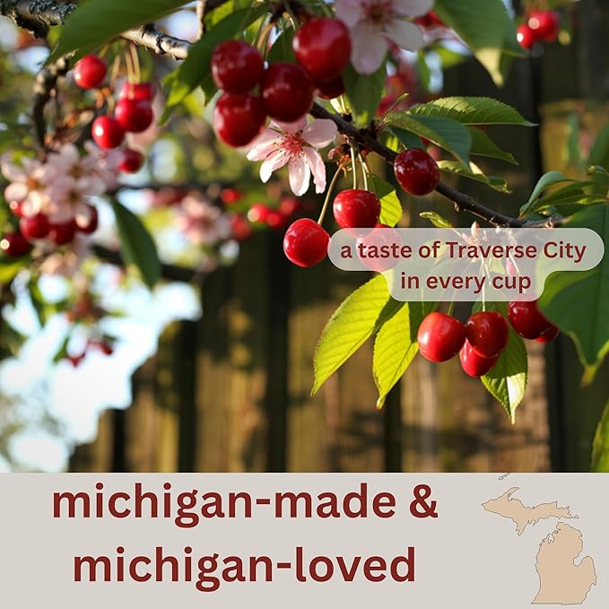 Sleepy Bear Traverse City Cherry Ground Coffee – Medium Roast Arabica with Bold Cherry Flavor Michigan-Made Smooth &amp Fruity Blend No Sugar Added 16oz Recloseable Bag (1 Pack)