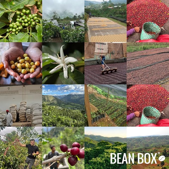 Colombia - Chachagüí Natural - Roasted by Bolt Coffee Co. - Whole Bean Coffee - 12 Ounce Bag