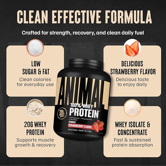 Animal 100% Whey Protein Powder – Whey Blend for Pre or Post Workout Recovery Anytime Low Sugar Protein Boost Meal Replacement with BCAA Branched Chain Amino Acids – New Flavor Strawberry 4 lb