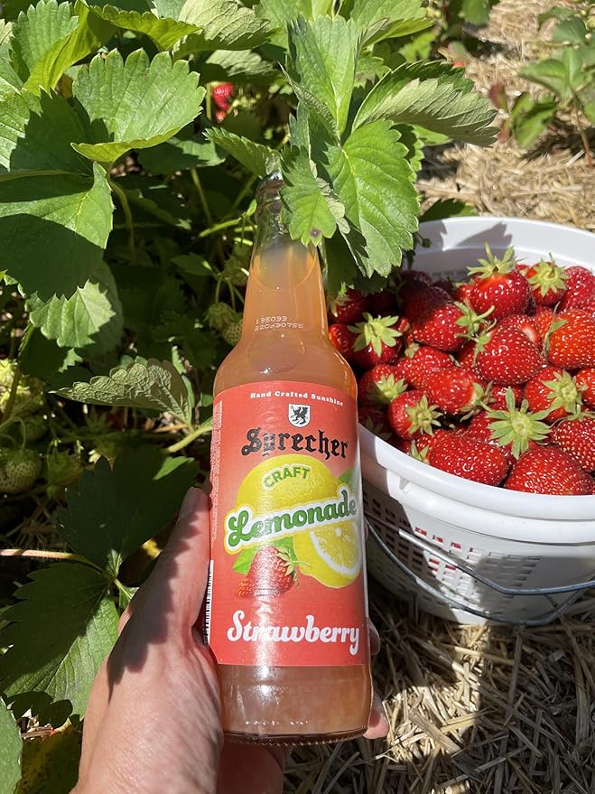Sprecher Sparkling Strawberry Lemonade in 12 fl oz Glass Bottles (12 Pack) Handcrafted Craft Soda Made with Real Lemon and Strawberry Juice Naturally Flavored and Cane Sugar Sweetened