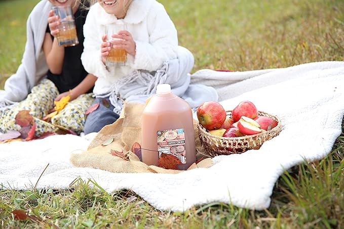 Kauffman Orchards Fresh-Pressed Award-Winning Sweet Apple Cider Frozen For Shipping 0.9 Gallon (Pack of 2)