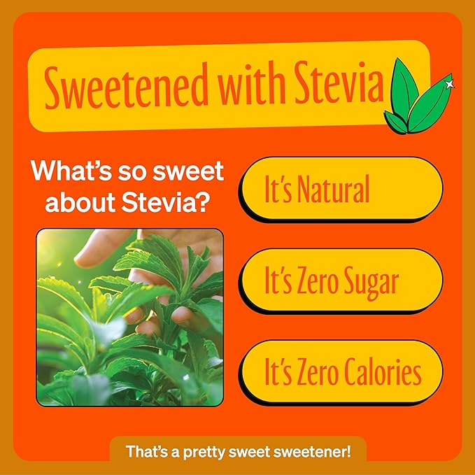 Zevia Zero Calorie Soda Orange 12 Ounce Cans (Pack of 20)