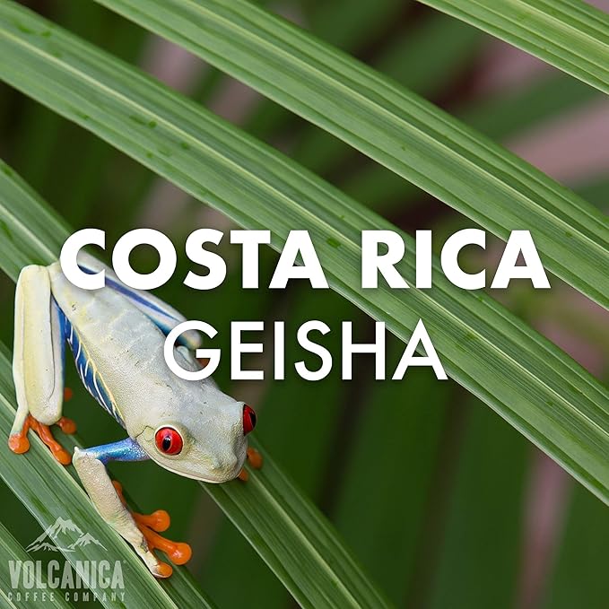 Geisha Coffee Costa Rica Ground Fresh Roasted 5 lbs