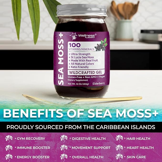 WELLNESS LABSRX Irish Sea Moss Gel Raw - Wildcrafted Superfood Seamoss Gel - Elderberry Flavor Vitamin and Mineral-Rich from Pristine Caribbean Waters Immune and Digestive Health Support - 10 oz.