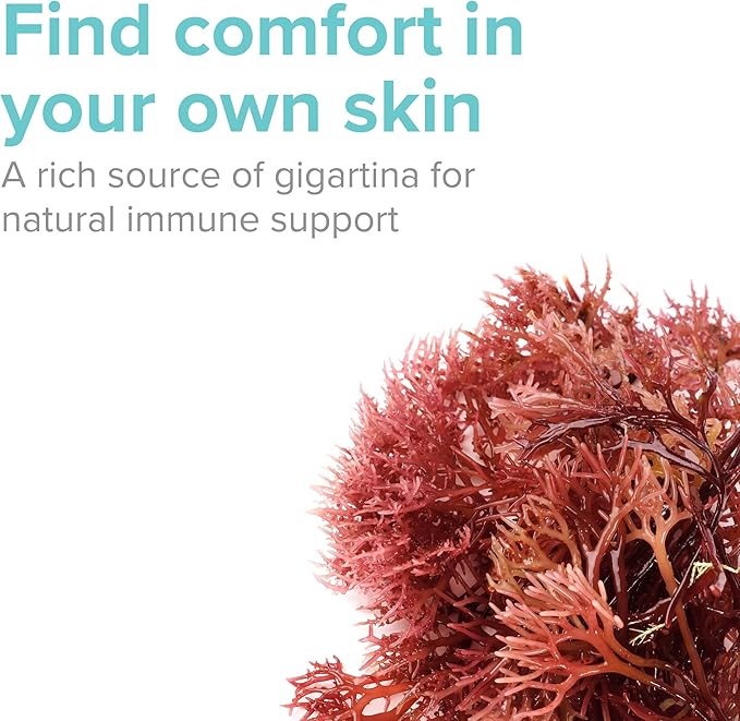 Vibrant Health Gigartina Red Marine Algae Plant-Based Immune Support 60 Capsules